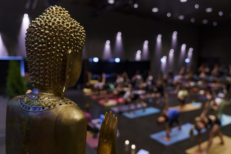 Opening Session Vinyasa Flow - yoga.tage im Kufsteinerland