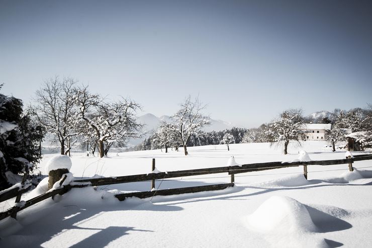 Winterwandern mit Aussicht und Genuss - unterwegs am Niederndorferberg