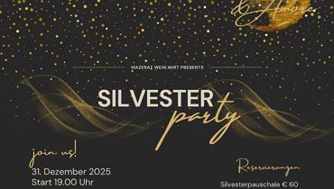 New Year's Eve party à la Mazerat - DJ Endless